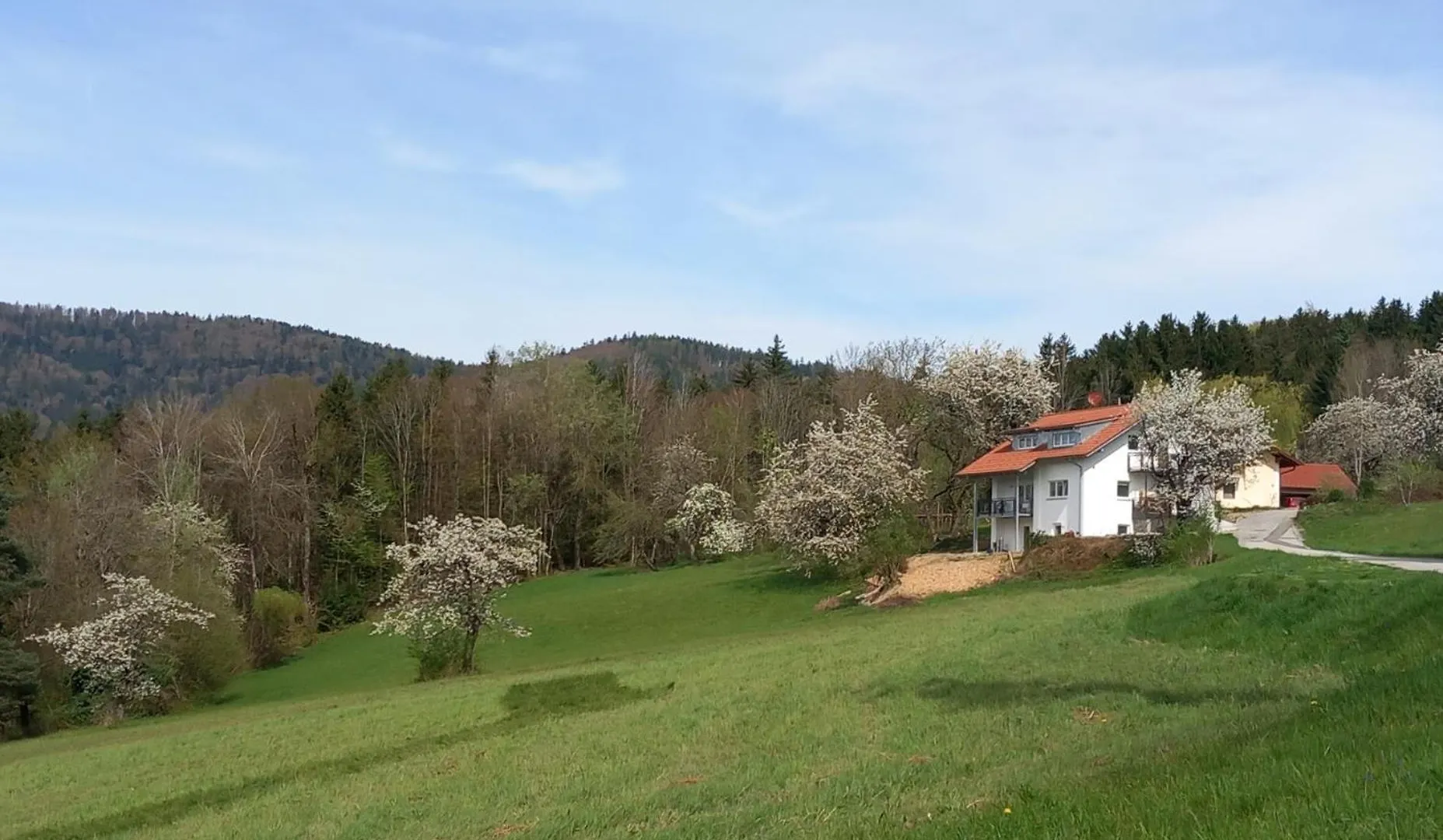 Haus Panorama Appartement Lalling 0*,  Duitsland